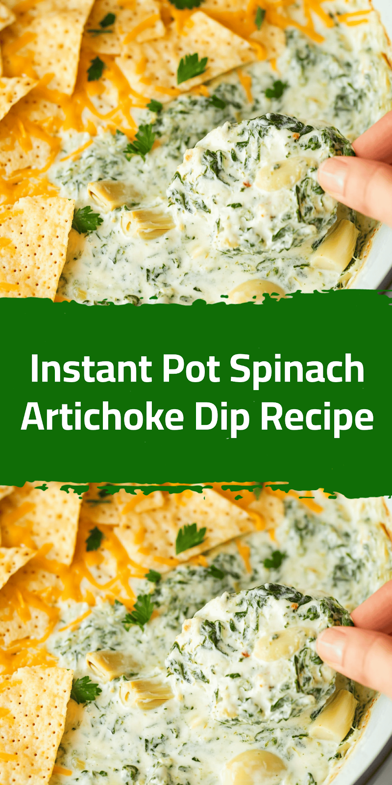 Instant Pot Spinach Artichoke Dip Recipe