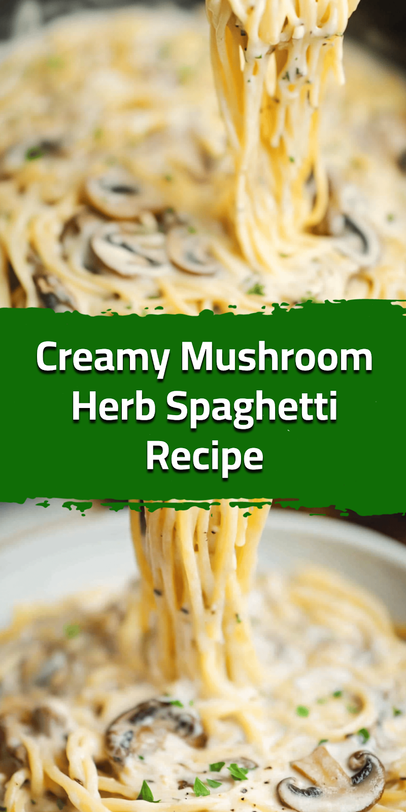 Creamy Mushroom Herb Spaghetti Recipe