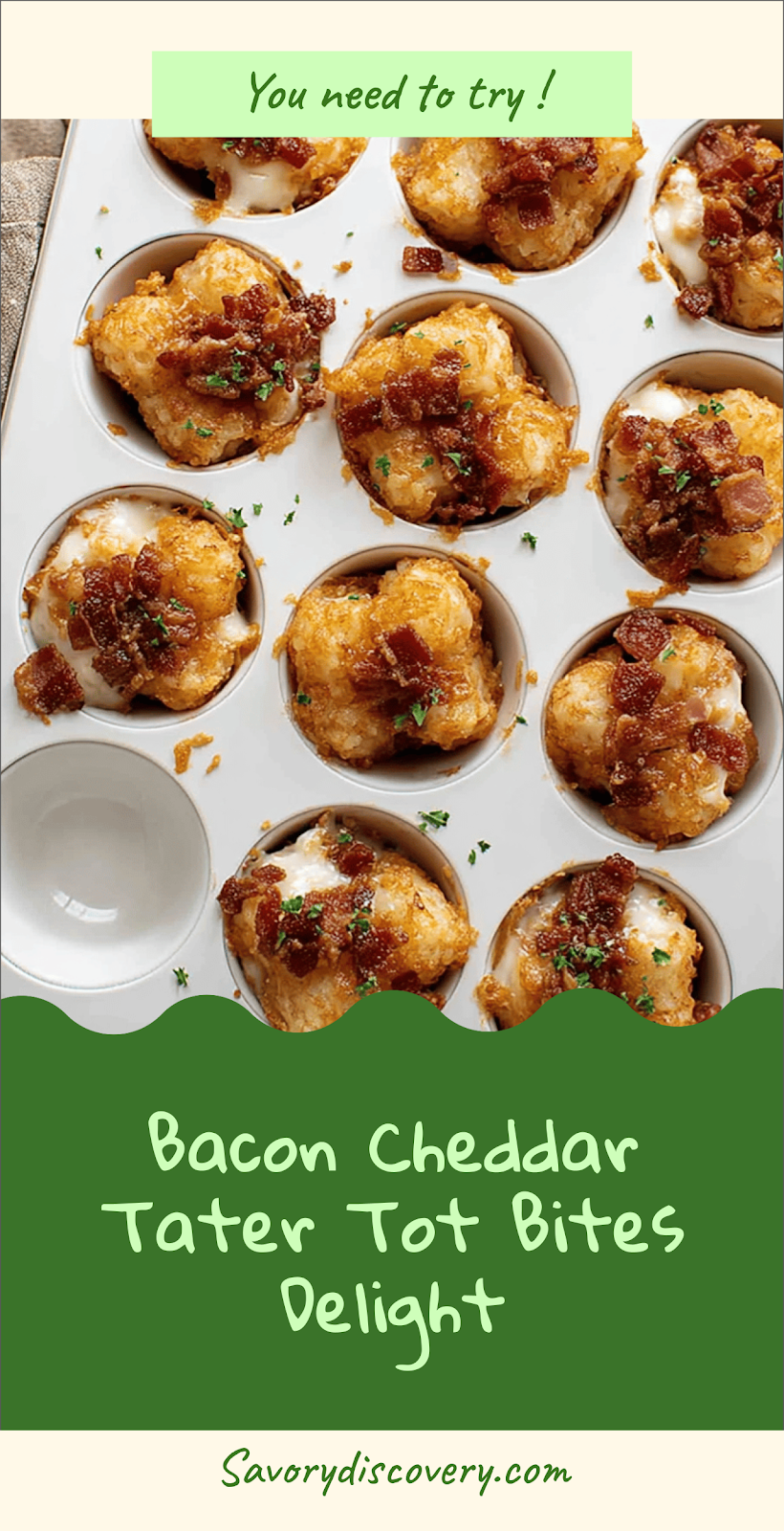 Bacon Cheddar Tater Tot Bites Delight