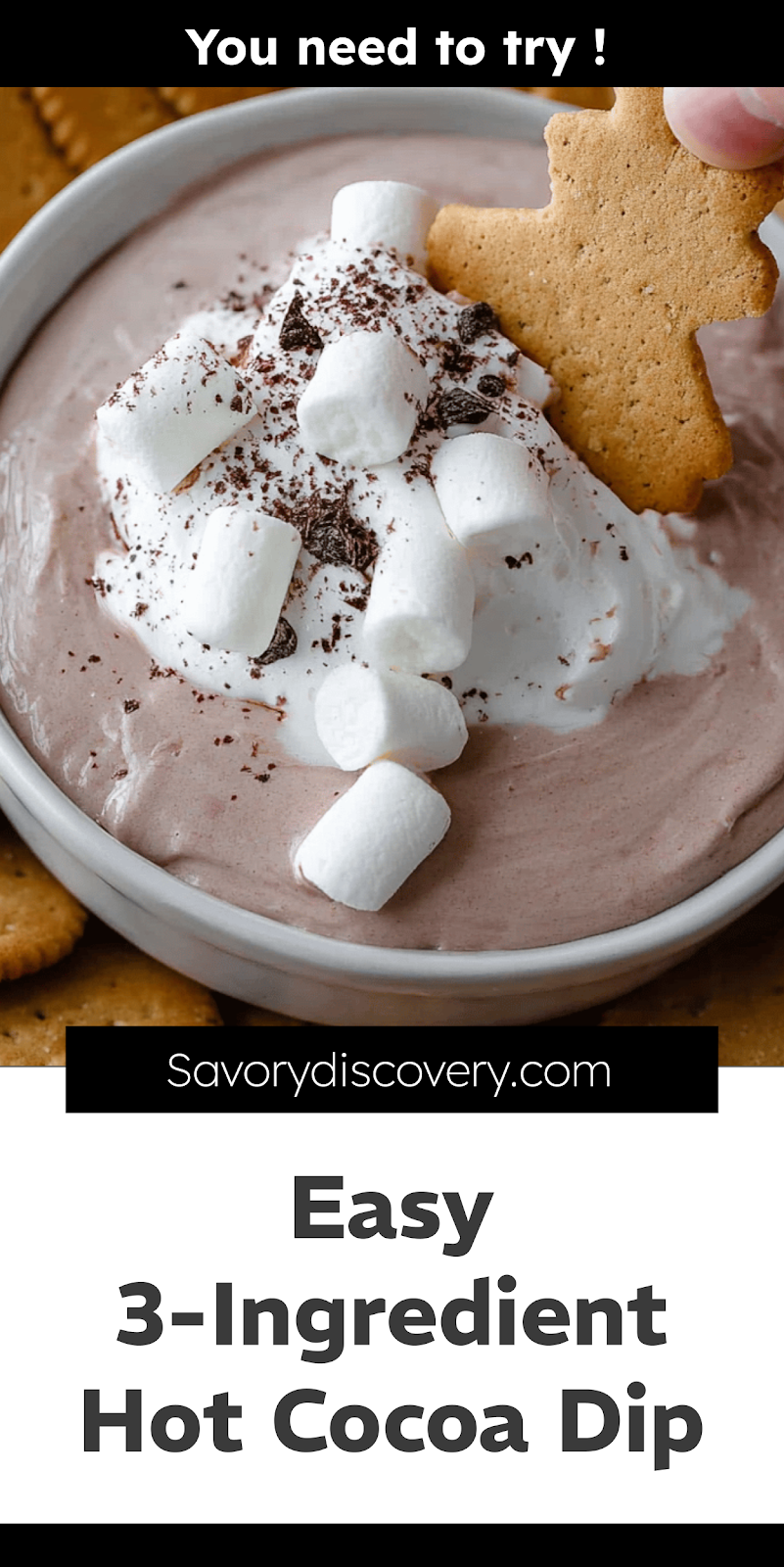 Easy 3-Ingredient Hot Cocoa Dip