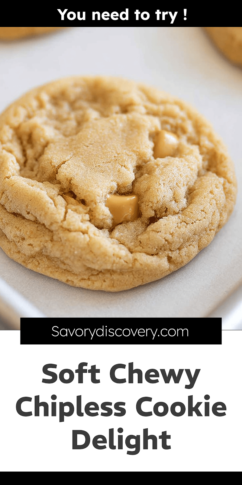 Soft Chewy Chipless Cookie Delight