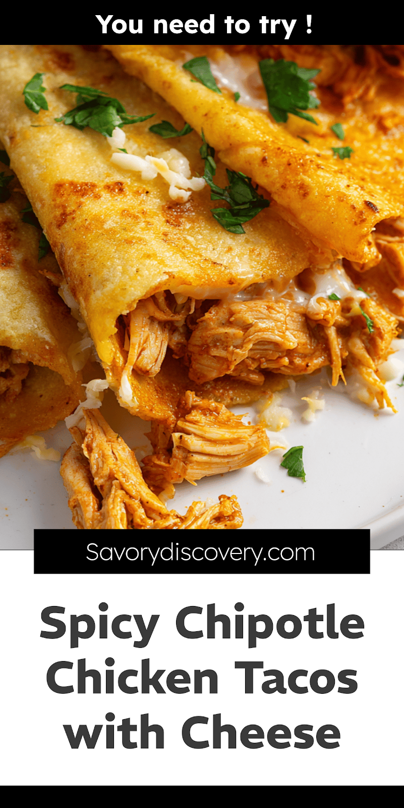 Spicy Chipotle Chicken Tacos with Cheese