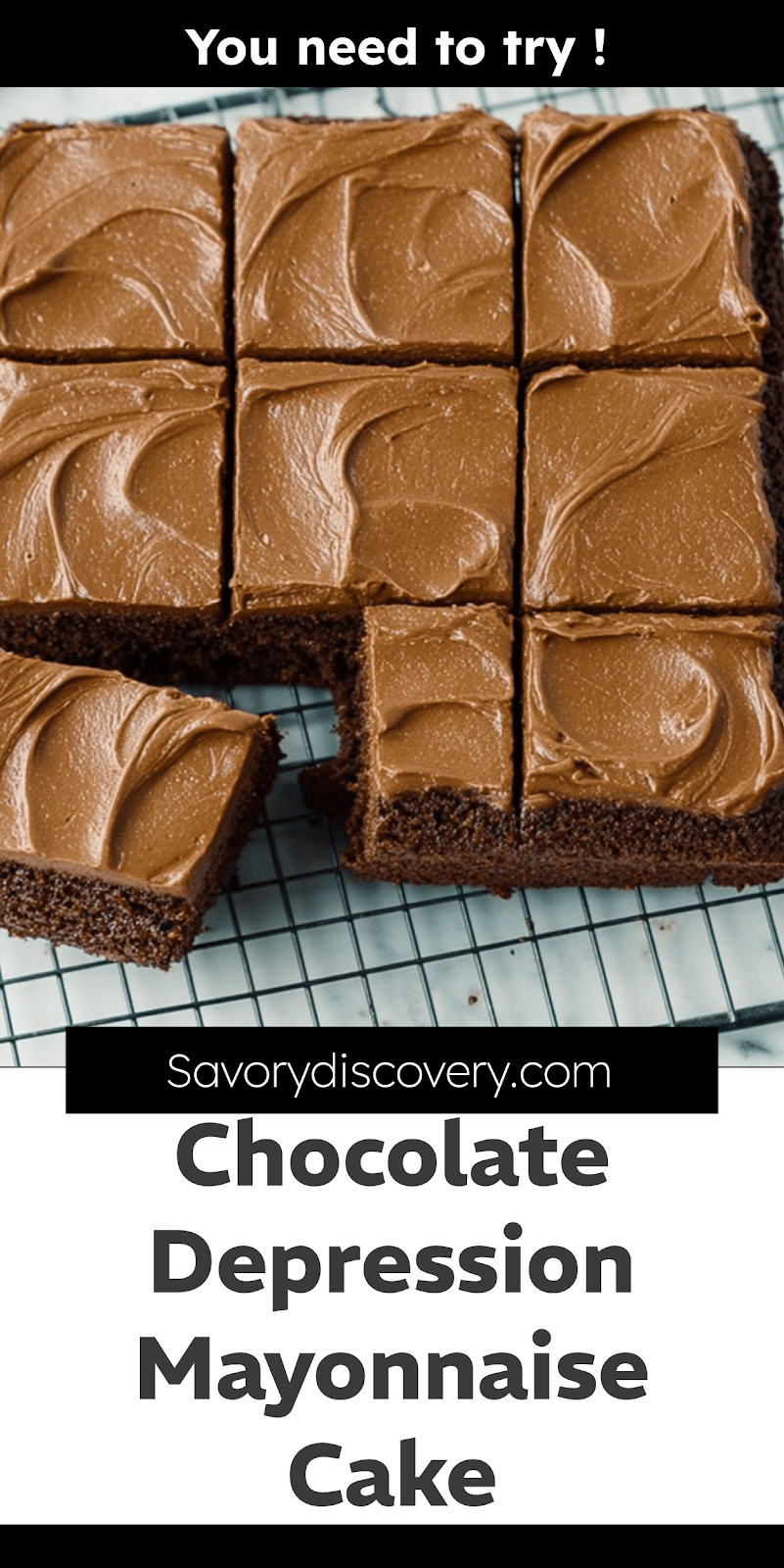 Chocolate Depression Mayonnaise Cake