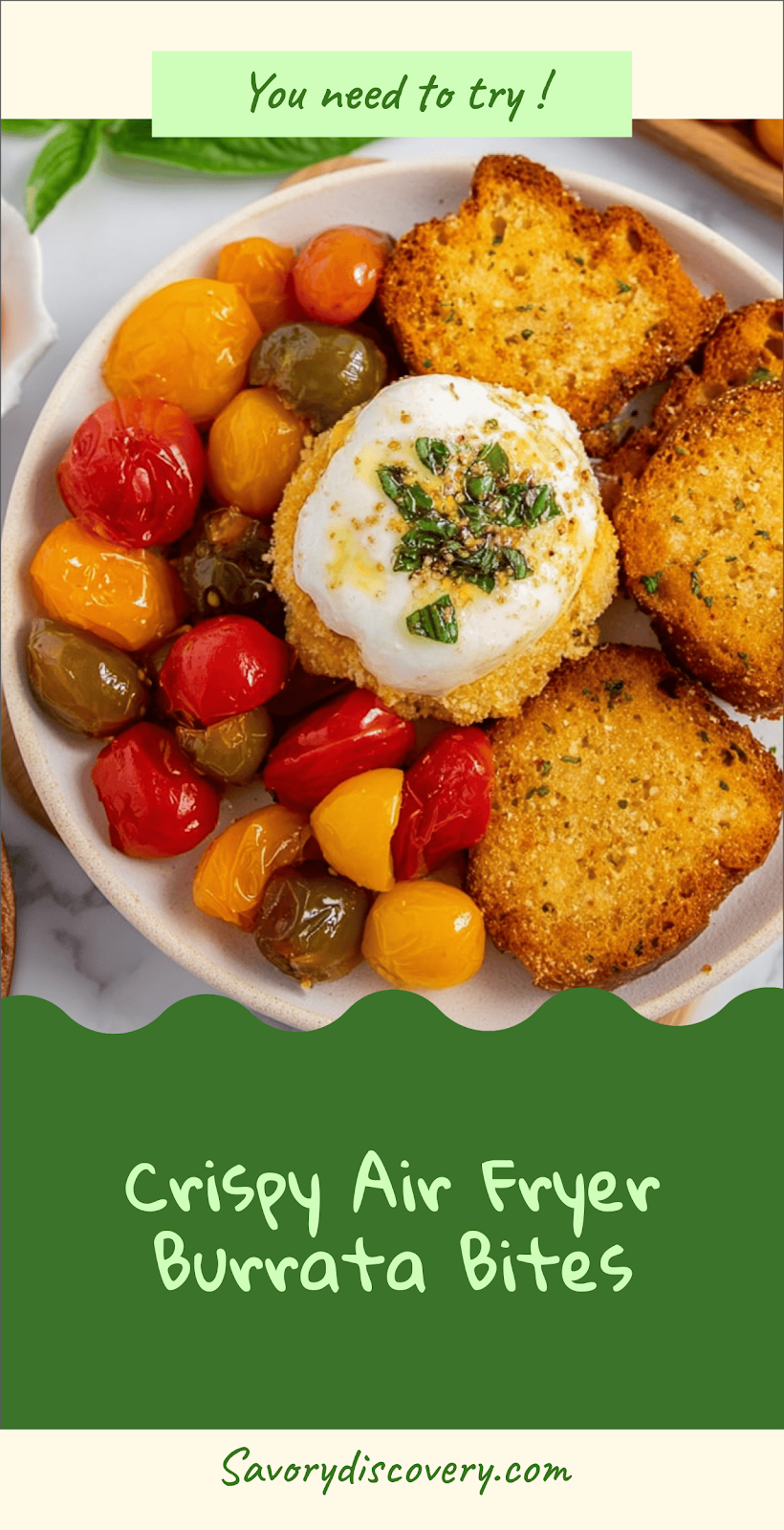 Crispy Air Fryer Burrata Bites