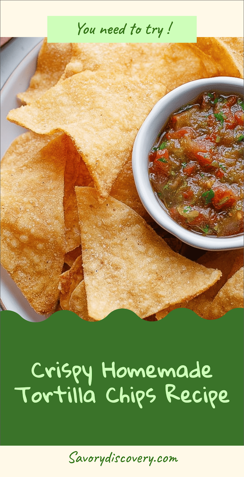 Crispy Homemade Tortilla Chips Recipe