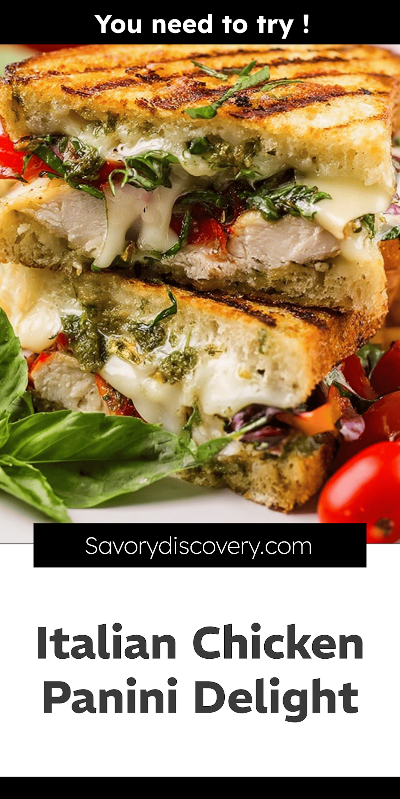 Italian Chicken Panini Delight