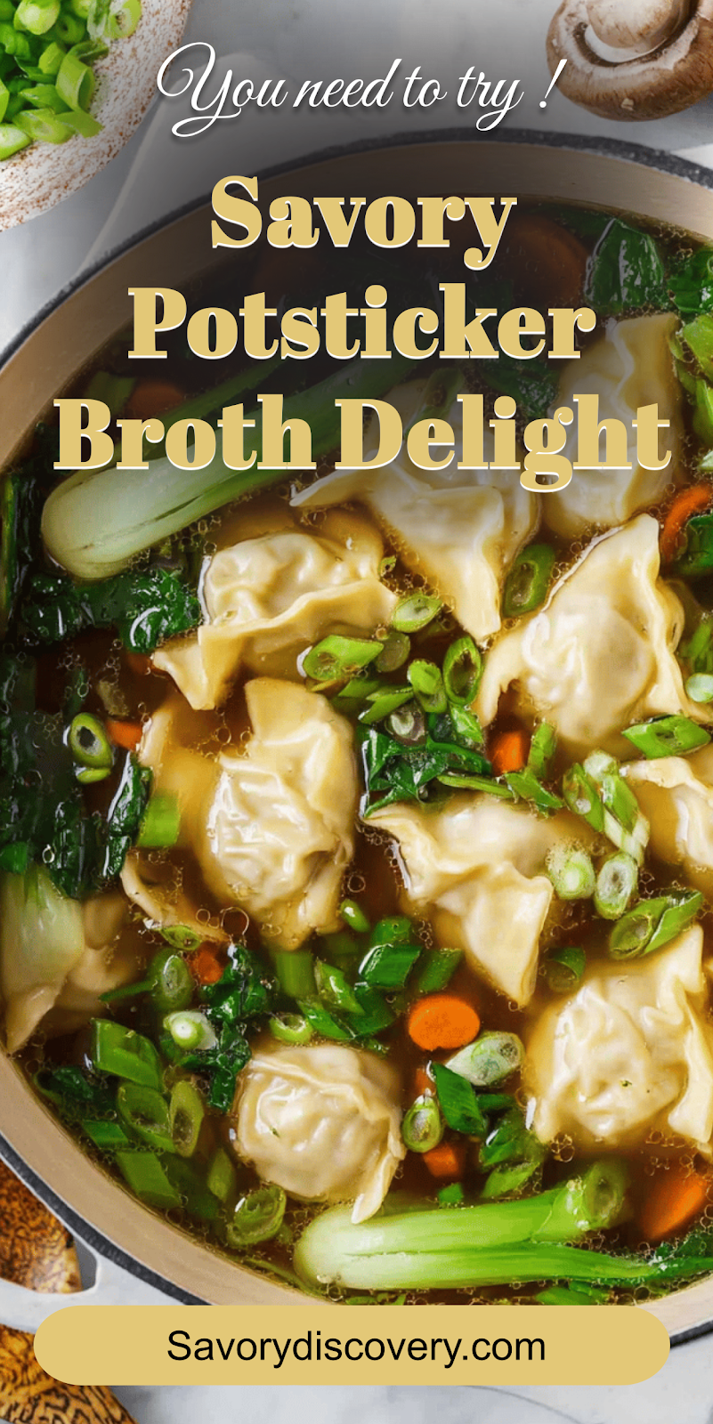 Savory Potsticker Broth Delight
