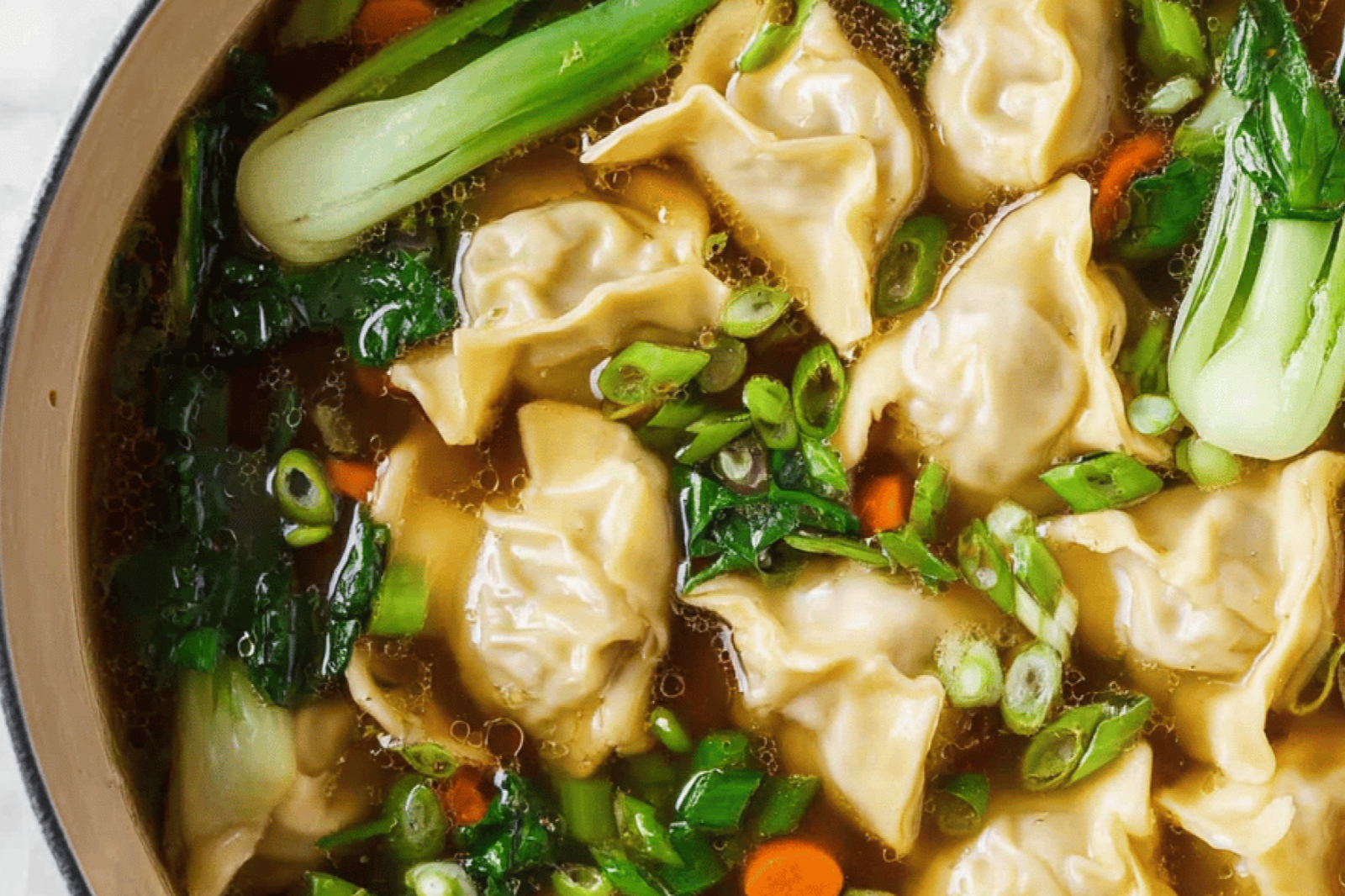 Savory Potsticker Broth Delight