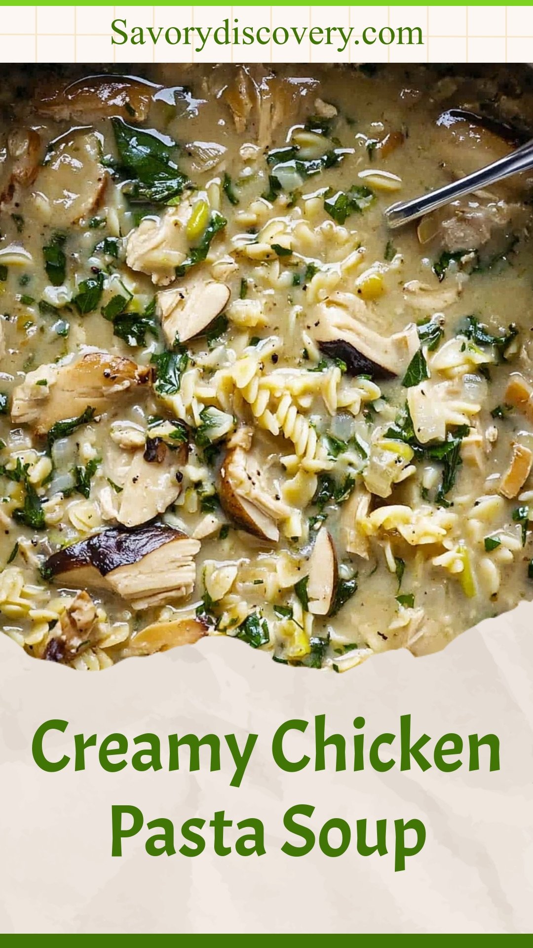 Creamy Chicken Pasta Soup