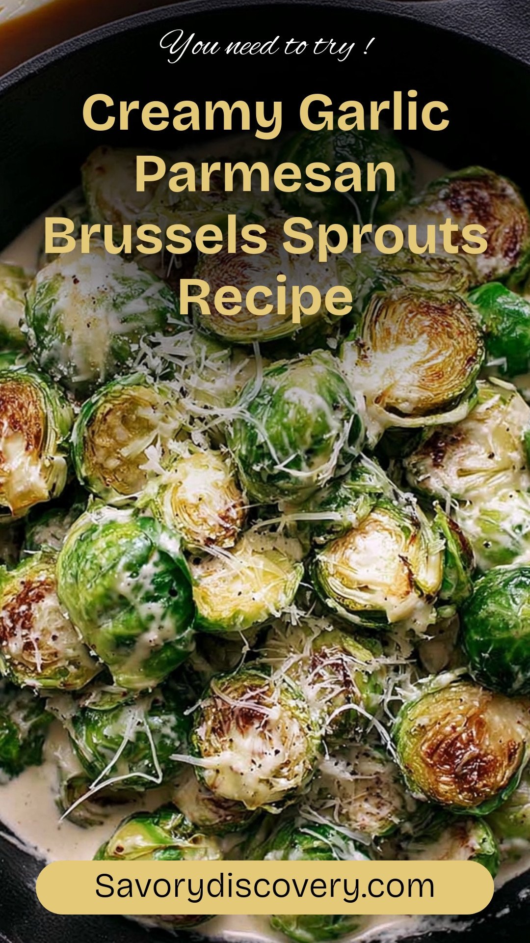 Creamy Garlic Parmesan Brussels Sprouts Recipe