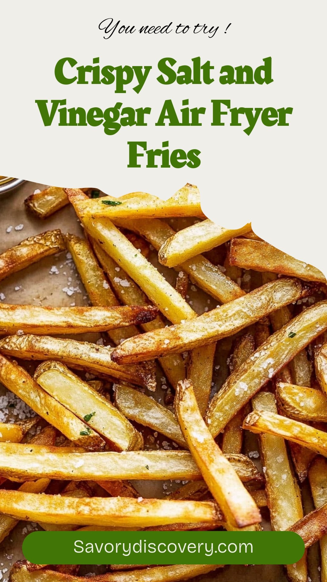 Crispy Salt and Vinegar Air Fryer Fries