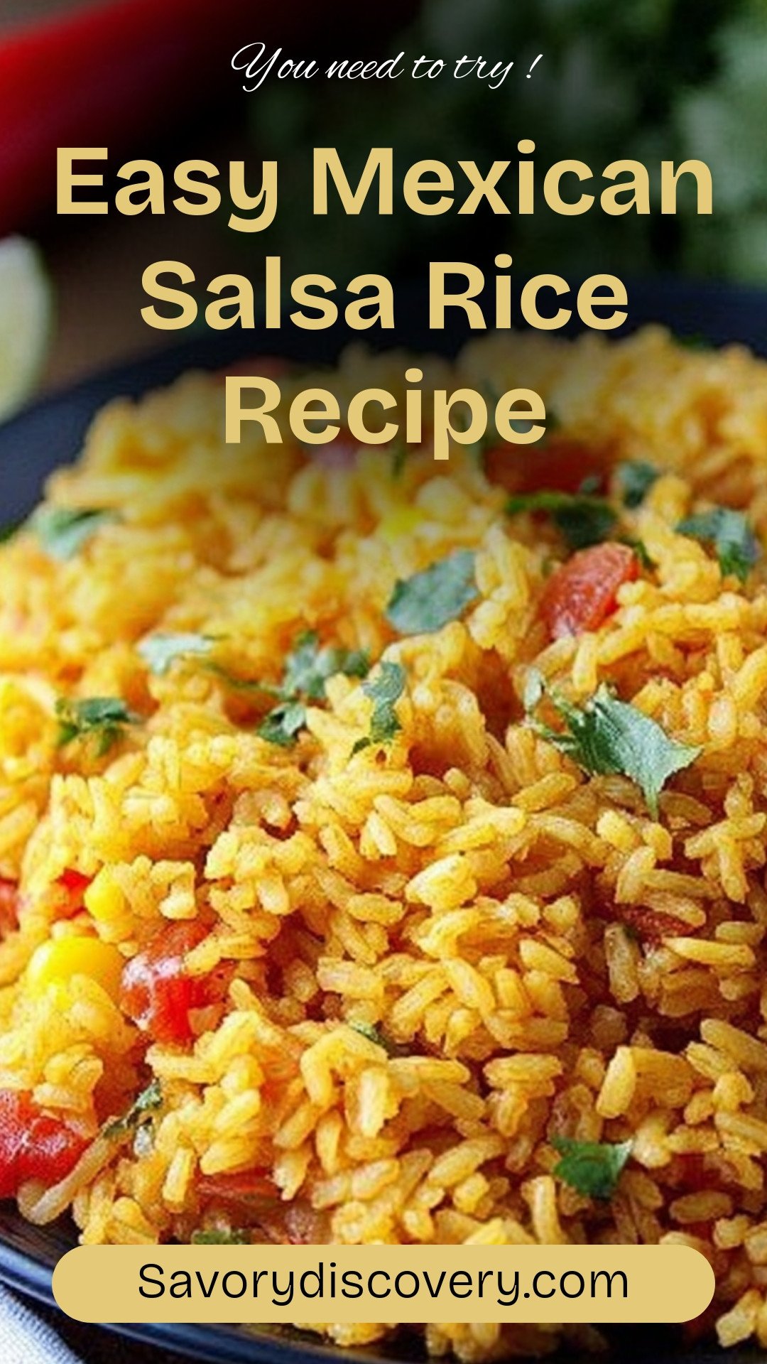 Easy Mexican Salsa Rice Recipe