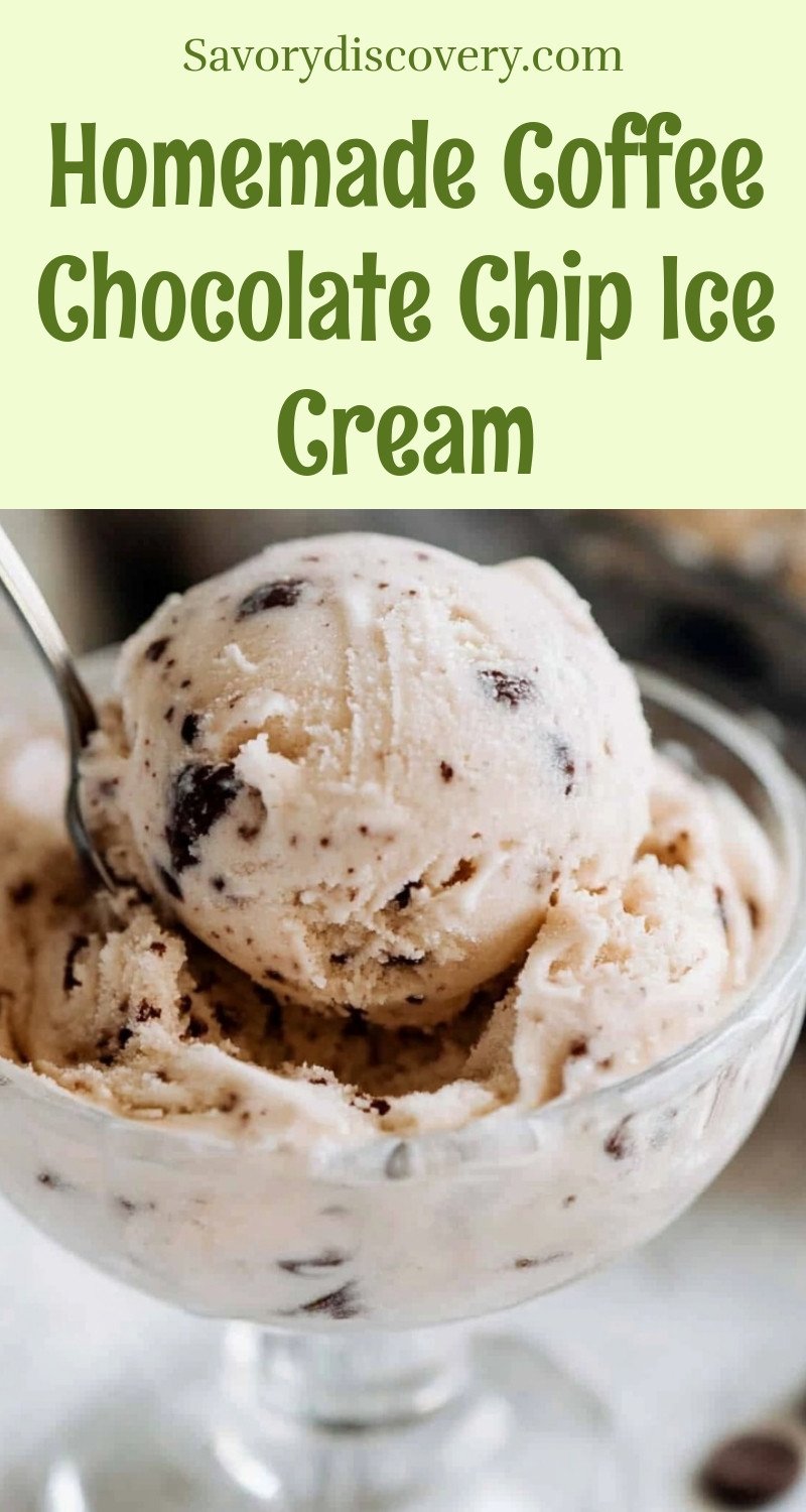 Homemade Coffee Chocolate Chip Ice Cream