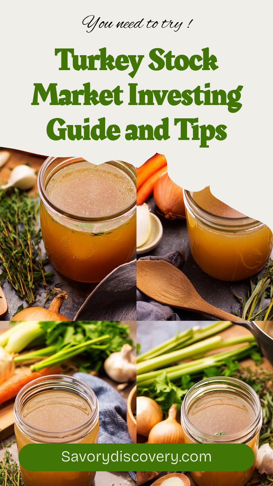 Turkey Stock Market Investing Guide and Tips