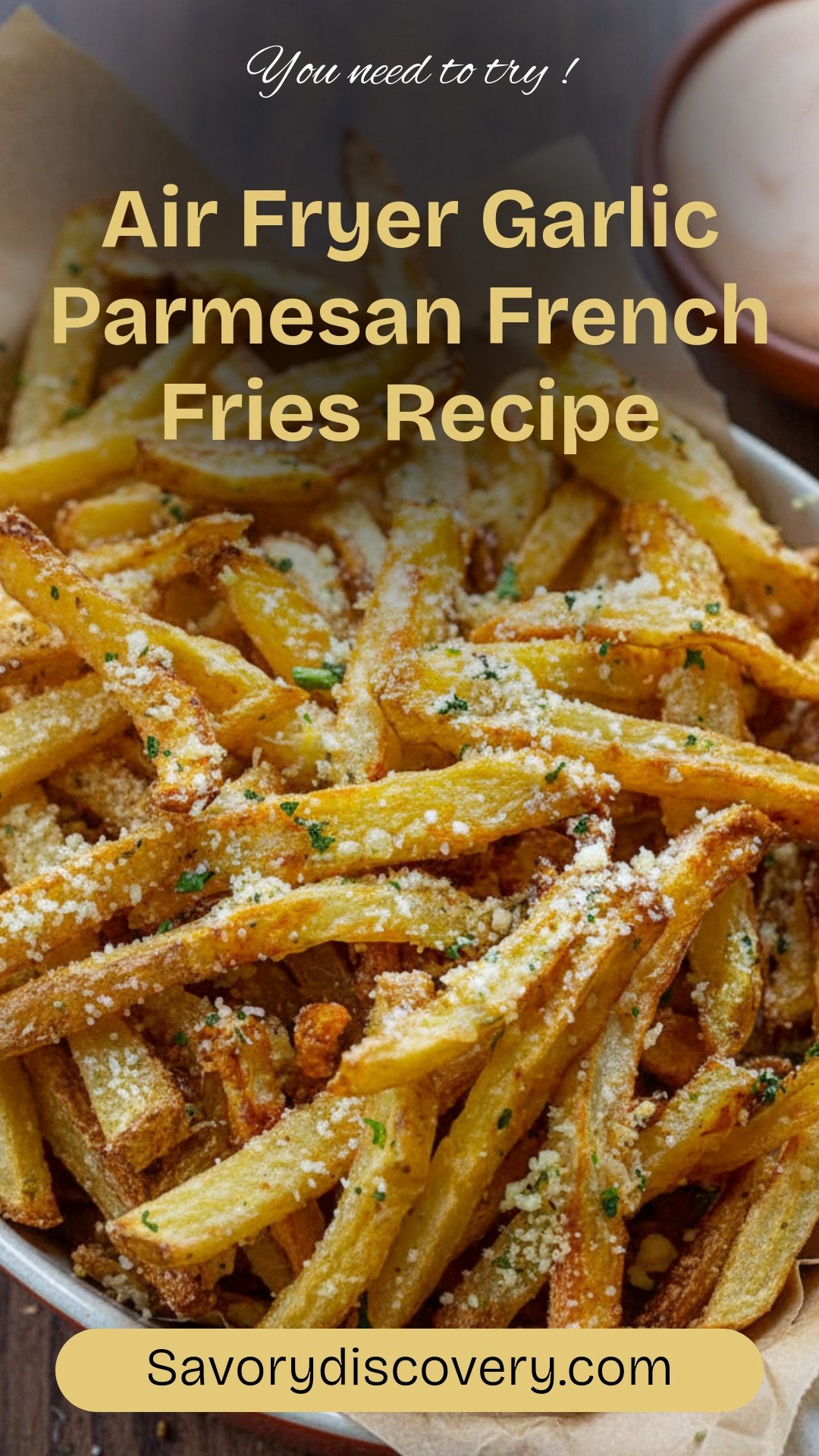 Air Fryer Garlic Parmesan French Fries Recipe