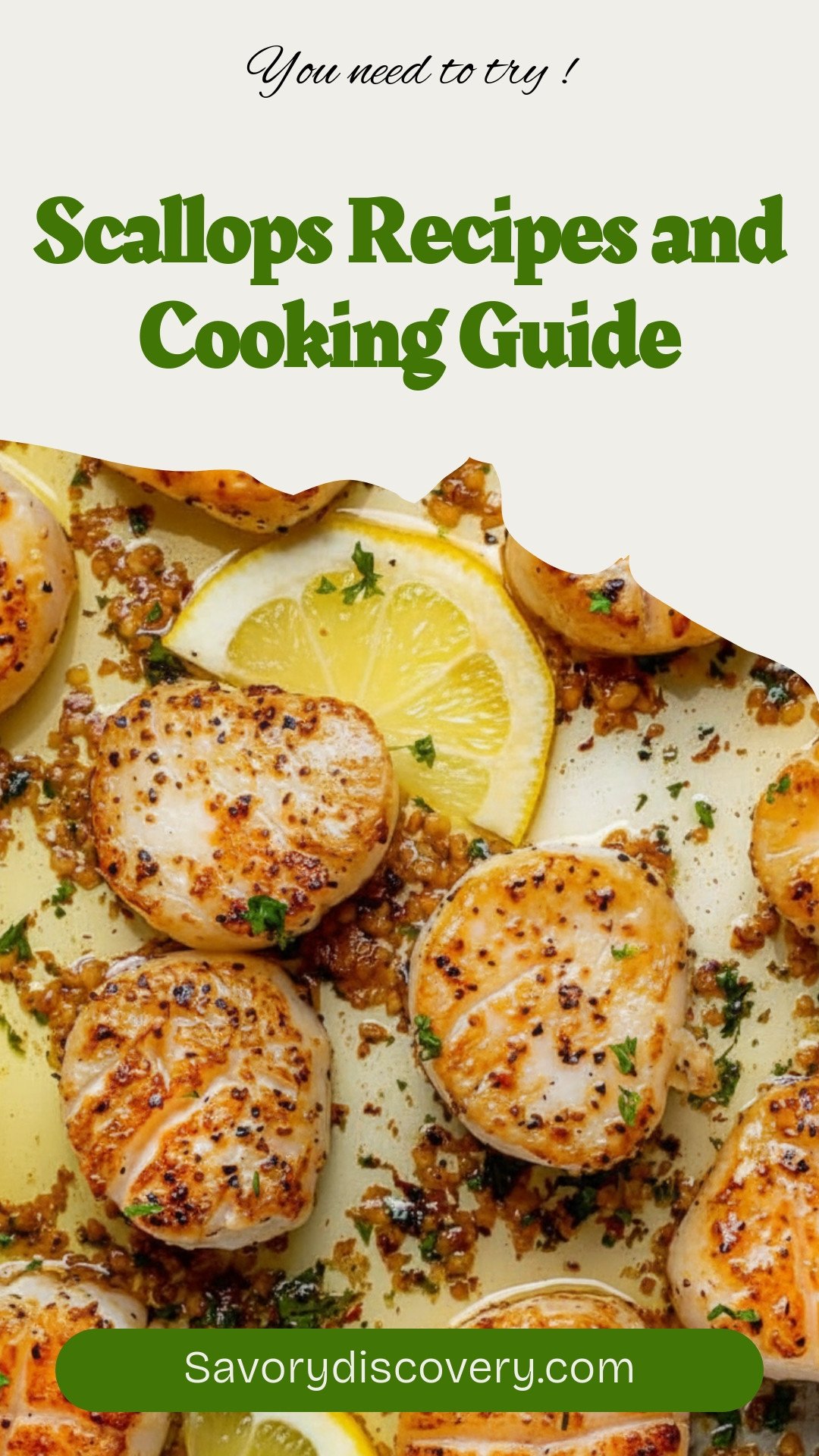 Scallops Recipes and Cooking Guide
